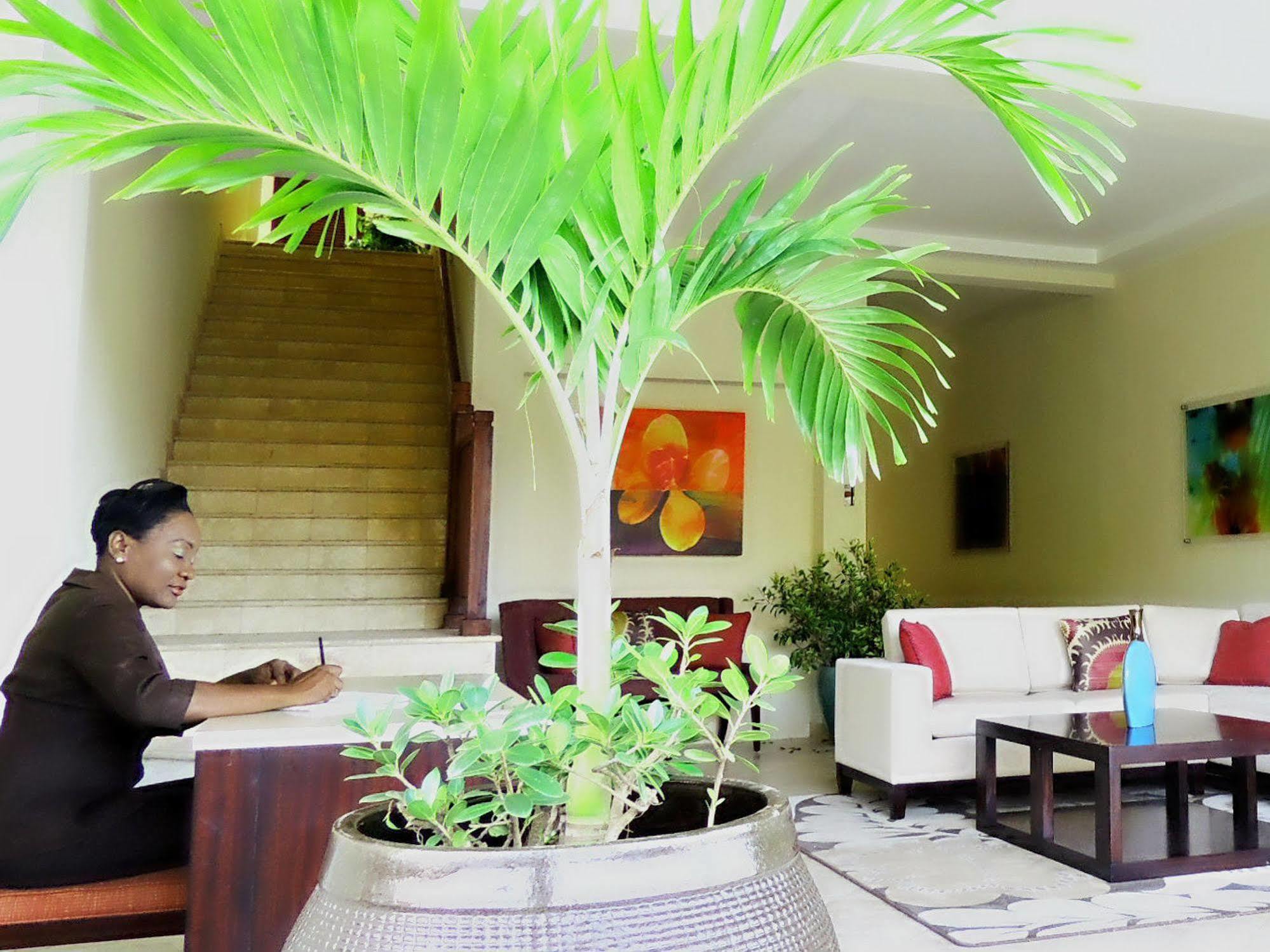 Buccament Bay Resort Saint Vincent Exterior foto